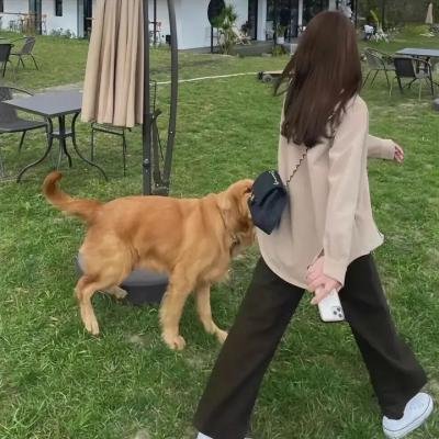 君子好逑